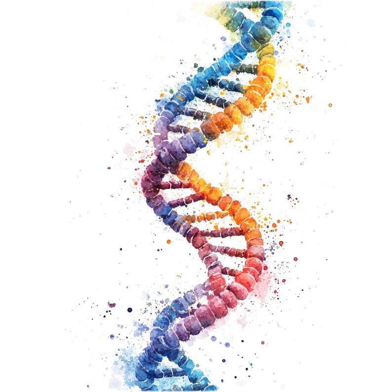 May include: A watercolor illustration of a DNA double helix, rendered in a rainbow of colors. The helix is depicted against a white background with splattered paint.