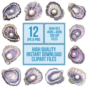 Folk Oyster Clip Art, 12x Oyster With Pearl PNG Clipart Set, Watercolor ...