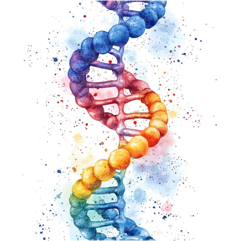 May include: A watercolor painting of a DNA double helix, rendered in a rainbow of colors. The helix is depicted against a white background with blue, pink, and yellow watercolor splatters.