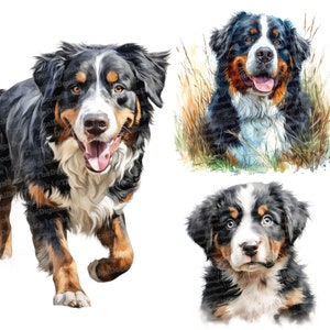 Berner Berg Clipart, 12 JPGs, Hund hochwertige Bilder, Berner Illustration, Hunde Wandkunst, digitaler Download, T-Shirt, Hundeliebhaber