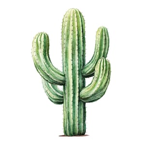 May include: Watercolor illustration of a tall, green cactus with multiple arms and spines. The cactus has vertical stripes of light and dark green, set against a clean white background. The image showcases the plant's natural form.