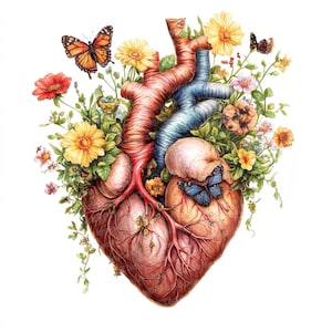 Clipart cuore floreale, 12 JPG di alta qualità, cuore anatomico con farfalle, clipart acquerello, download digitale, lavoretti di carta, cuore umano