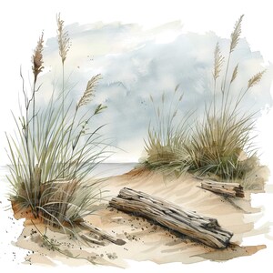 12x Driftwood Clipart, Ocean Sea Drift Wood Clipart, Printable ...