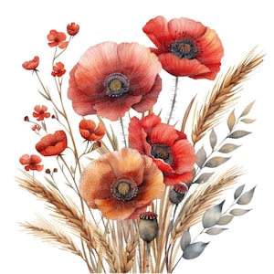 12 coquelicots bohèmes et clipart blé, clipart floral aquarelle, clipart aquarelle imprimable, travaux manuels, art mural, téléchargement numérique, journaux indésirables
