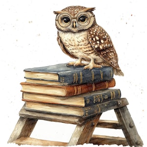 Bibliothek Eule PNG Clipart, 12x Bücherwurm Eule auf Leiter Clip Art Set, druckbare Aquarell Clip Art, Papierhandwerk, Junk Journal Bundle