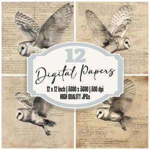 12x Sketch Barn Owl Junk Journal Paper Flight Digital Paper Pack Papel de Scrapbook de Animais Vintage JPGs de Alta Qualidade Textura Envelhecida