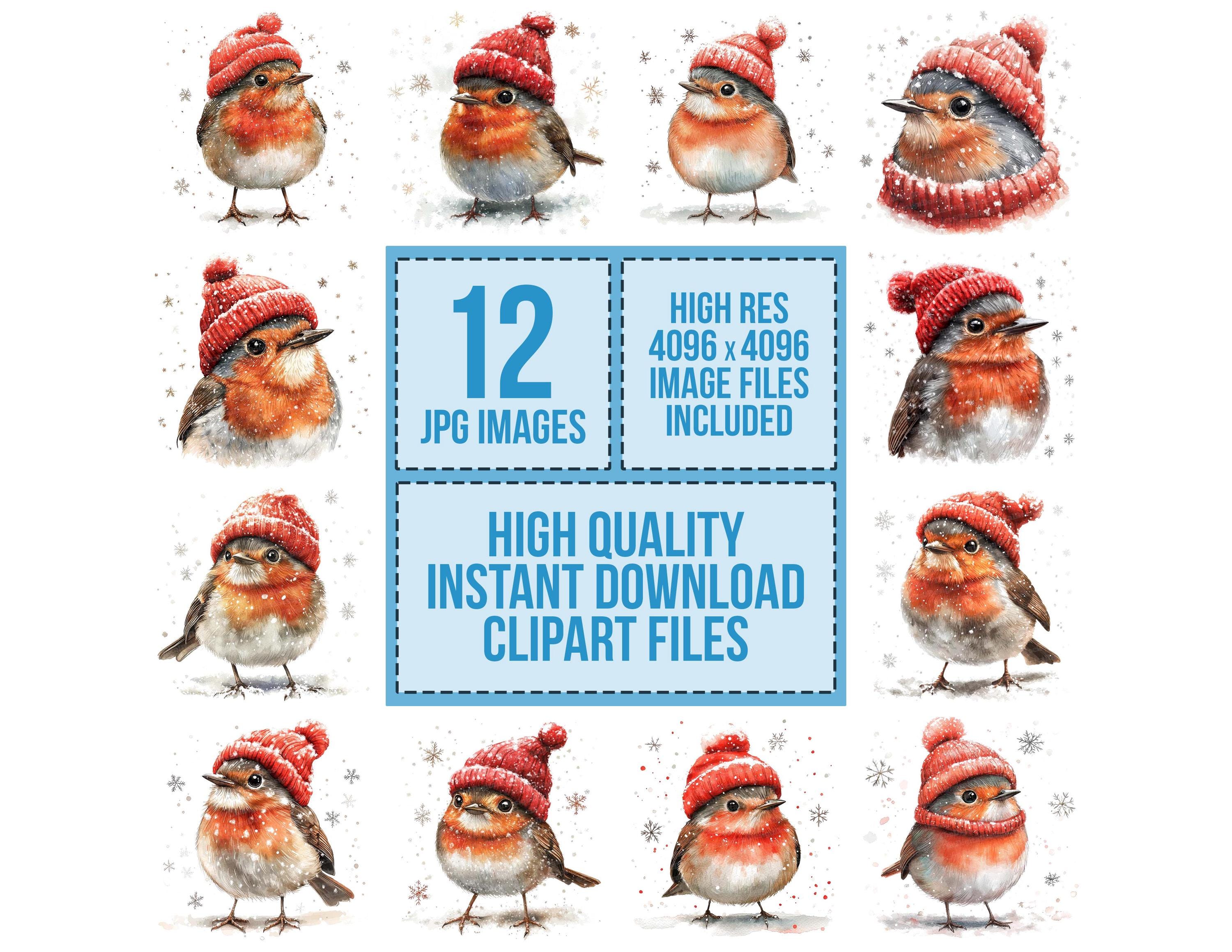 Christmas Robin Clip Art, 12x Winter Bird Clipart Set, Red Hat Robin ...