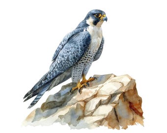il_340x270.7380263512_xwqn.jpg