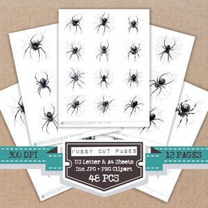 May include: Sheets of paper featuring watercolor illustrations of spiders and spiderwebs. The sheets are labeled "Fussy Cut Pages" and include the text "US Letter & A4 Sheets Inc. JPG + PNG Clipart 48 PCS". The image also includes the text "300 DPI" and "12 PAGES".