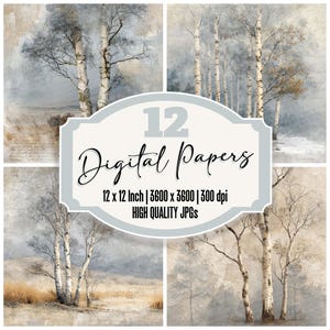 May include: A collage of four digital papers featuring watercolor paintings of birch trees in a misty landscape. The image includes the text "12 Digital Papers" and details about the size and resolution.