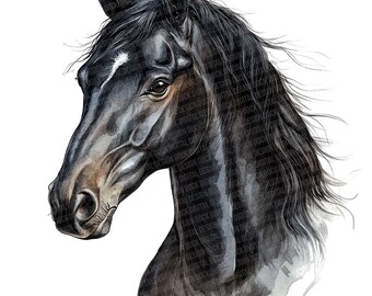 黒馬PNGクリップアート、乗馬水彩馬クリップアートセット12点、印刷