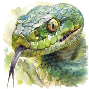 12x Clipart de cobra, clipart de cabeça de réptil de cobra close-up, clipart de aquarela para impressão, arte de parede, artesanato em papel, download digital, diários de lixo