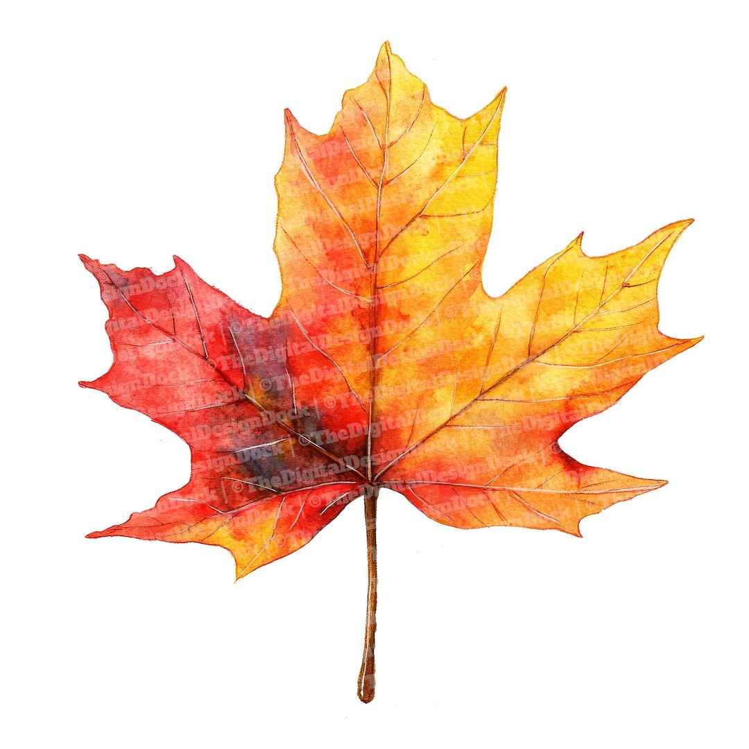 Single Fall Design Single Fall Leaves Clip Art, 12x Watercolor Autumn Leaf Clipart Set ...