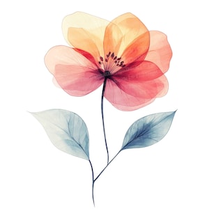 12 x Clipart floral abstrait, fleurs aquarelles délicates, JPG de haute qualité, téléchargement numérique, fabrication de cartes, papiers numériques, clipart aquarelle