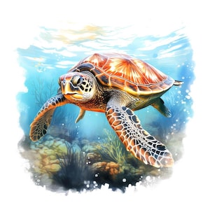 Zeeschildpad PNG Clipart, Set van 12 oceaan dieren kunst, Printbare aquarel schildpad clipart, Transparante PNG, Digitale download, Onderwaterleven