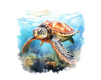 Sea Turtle PNG Clipart, 12x Ocean Animal Art Set, Printable Watercolor Turtle Clipart, Transparent PNG, Digital Download, Underwater Life