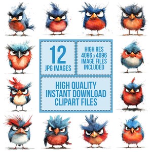 12 Grumpy Bird Clipart, Watercolor Angry Bird Clipart, Printable ...