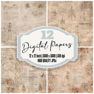 Könnte beinhalten: Ein Satz von 12 digitalen Papieren im Vintage-Stil. Die Papiere zeigen anatomische Zeichnungen, handschriftliche Schrift und ein abgenutztes, gealtertes Aussehen. Der Text auf dem Bild lautet "12 Digital Papers" und "12 x 12 Inch | 3600 x 3600 | 300 dpi HIGH QUALITY JPGs."