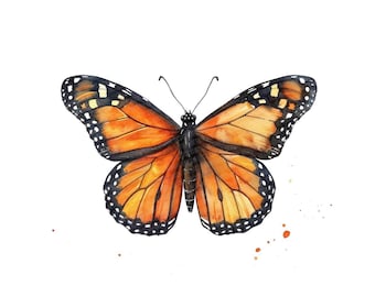 Animals Clipart