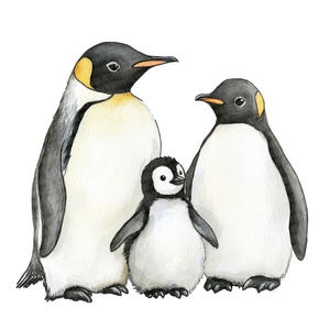 Pingouin famille PNG Clipart, 12 x aquarelle pingouin Clip Art Set, clipart animaux imprimables, travaux manuels en papier, téléchargement numérique, lot de journaux indésirables
