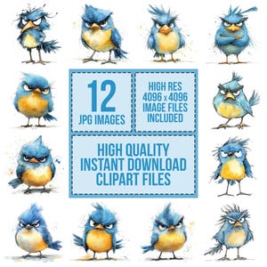 12x Grumpy Bird Clipart, Crazy Blue Bird, Digital Watercolor ...