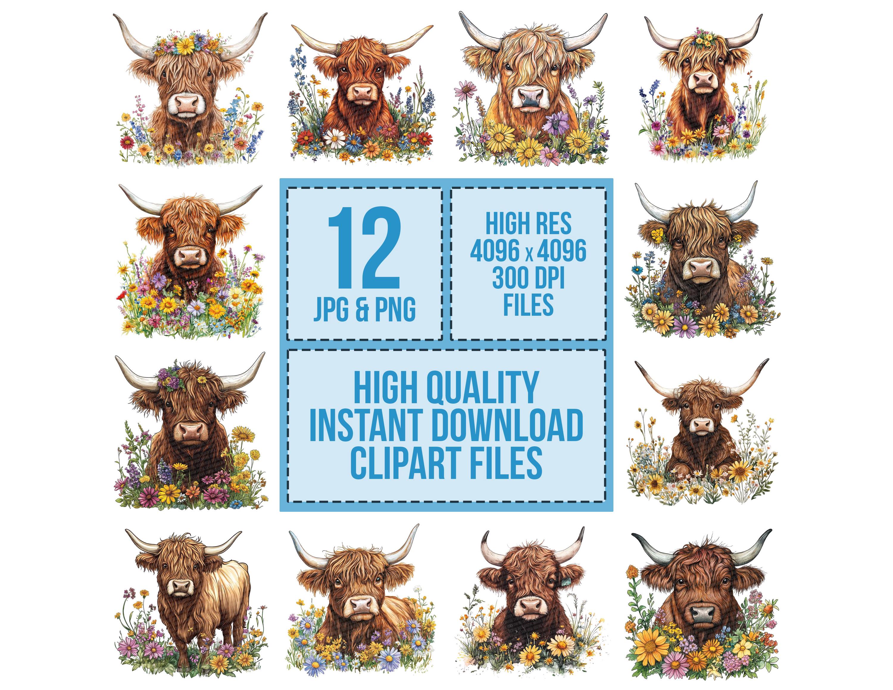 12x Floral Highland Cow PNG Clipart, Watercolor Cow With Flowers Clip ...