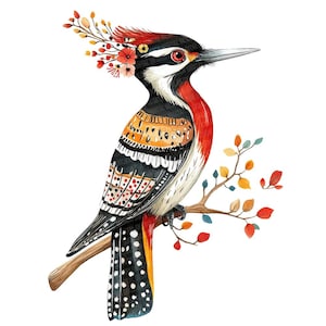 Picchio PNG Clipart, 12x Folk Art Bird Clip Art Set, Clip Art acquerello stampabile, Artigianato di carta, Download digitale, Pacchetto diario spazzatura