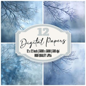 May include: A digital art print featuring four panels with a winter theme. Each panel displays a blue and white background with tree branches. The central panel has the text "12 Digital Papers" and details about the image size and quality.