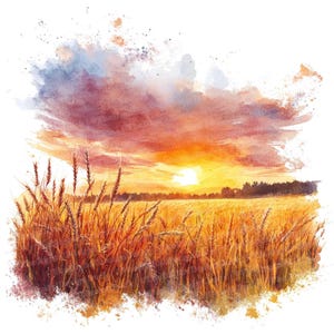 12 小麦畑の夕日のクリップアート、水彩画の黄金の畑のアート、田園風景のクリップアート、デジタル ダウンロード、ペーパー クラフト、ウォール アート、ジャンク ジャーナル
