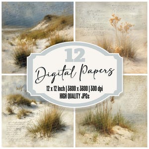 May include: A digital art collection featuring four landscape scenes with sand dunes, grasses, and vintage paper textures. The image includes the text "12 Digital Papers" and details about the size and resolution of the digital files.