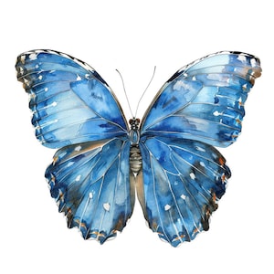 Imágenes prediseñadas de mariposa Morpho azul, set de 12 mariposas, imágenes prediseñadas de acuarela imprimibles, PNG transparente, descarga digital, ilustración de insecto