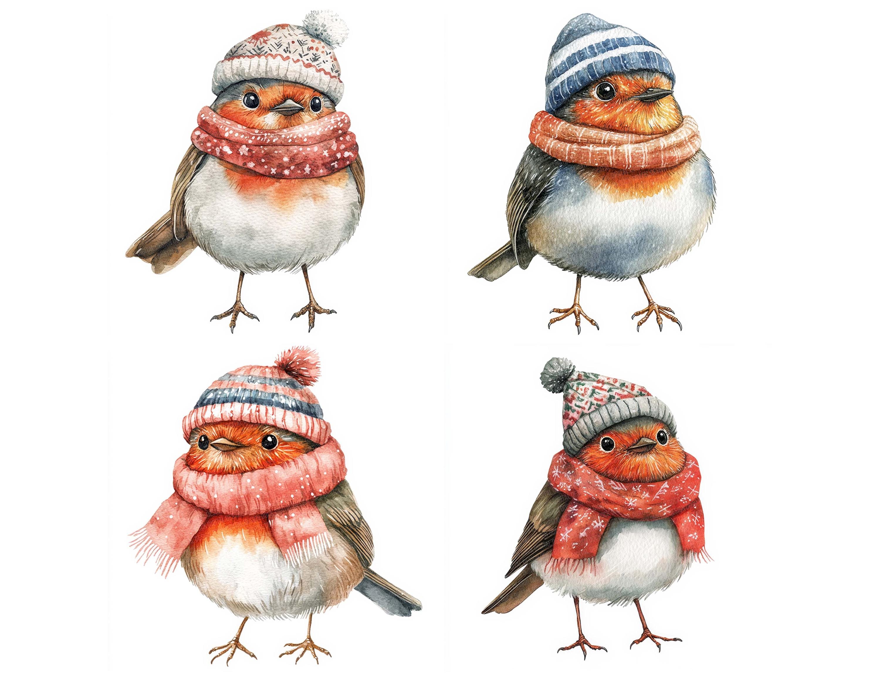 Robin Hat on PNG Clipart, 12x Winter Bird PNG Clip Art Set,christmas ...
