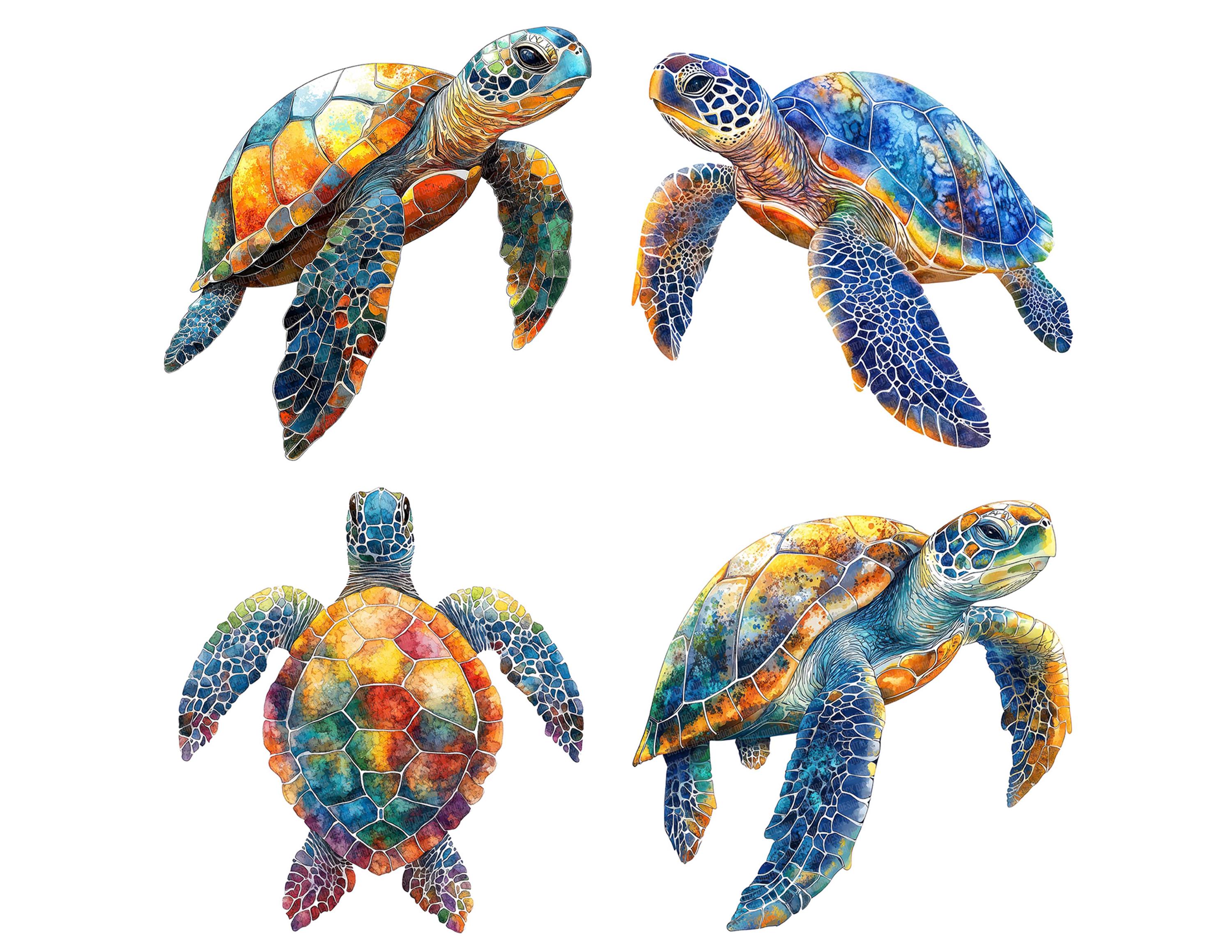 Watercolor Sea Turtle PNG Clipart, 12x Marine Life Clip Art Set ...