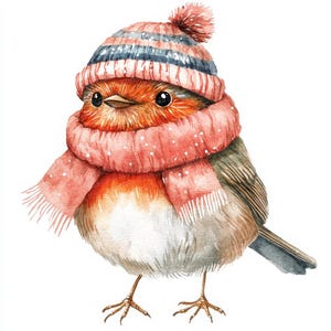 Robin Hat on PNG Clipart, 12x Winter Bird PNG Clip Art Set,christmas ...