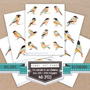 May include: Sheets of paper with colorful bird illustrations. Each bird features a unique geometric design with shades of orange, blue, yellow, and black. The text on the image reads "Fussy Cut Pages", "US Letter & A4 Sheets", "Inc. JPG + PNG Clipart", "48 PCS", "12 PAGES", and "300 DPI".