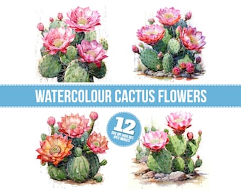 Flowers & Plants Clipart