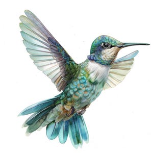Hummingbird Clipart, 12x Small Flying Bird Art Set, Printable Watercolor Art, Transparent Background PNG, Digital Download, Paper Crafts