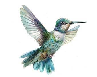 ミノカサゴ PNG クリップアート、12 個の雄大な海の魚のクリップアート