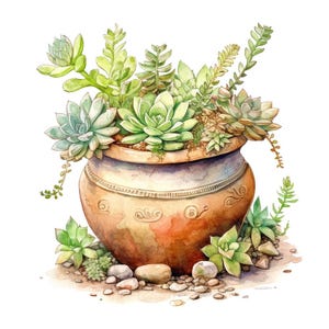 Potted Succulent PNG Clipart, 12x Clay Pot Plants Clip Art Set, Printable Watercolor Art, Paper Crafts, Digital Download, Transparent PNG