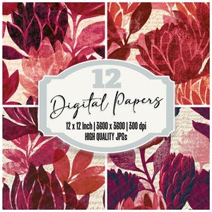 Op de afbeelding: Een collectie van 12 digitale papieren met een bloemenpatroon van donkerrode en bordeauxrode proteabloemen op een crèmekleurige achtergrond met cursieve tekst. Het centrale label vermeldt 12 Digital Papers, 12 x 12 Inch, 3600 x 3600, 300 dpi.