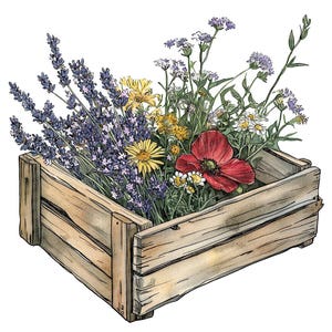 Kiste mit Wildblumen PNG Clip Art, 12x Holzblumenkasten Clipart-Set, druckbare Aquarell Clip Art, digitaler Download, transparentes PNG