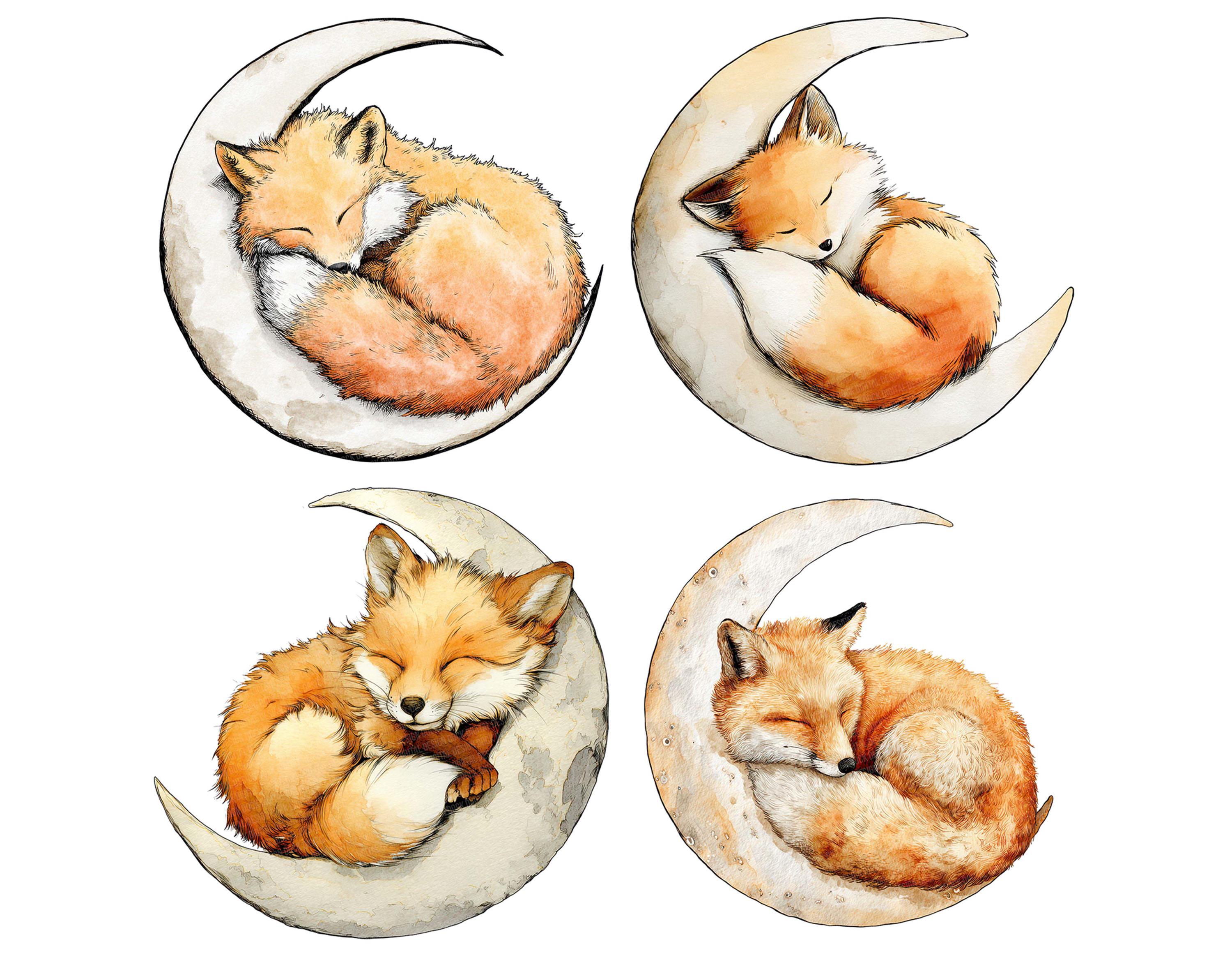 12x Crescent Moon Fox PNG Clipart, Watercolor Sleeping Foxes Clip Art ...