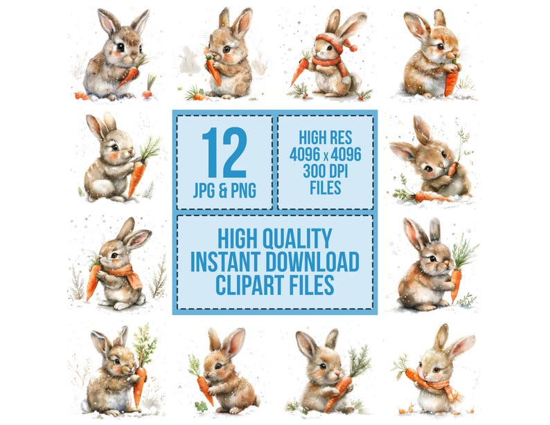 Winter Bunny PNG Clipart, 12x Cute Rabbit With Carrot Clip Art Set ...