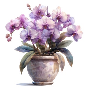 12x Clipart di orchidee in vaso, Clipart floreali di piante in vaso, Clipart di acquerelli stampabili, Arte murale, Artigianato di carta, Download digitale, Diari spazzatura
