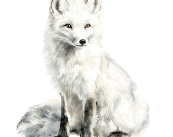Poolvos PNG-clipart, set van 12 wintervossen-cliparts, printbare aquarel-clipart, papierknutselwerk, digitale PNG-download, bundel voor junk journals
