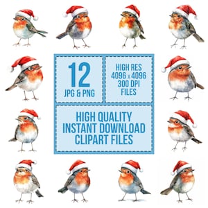 Robin Santa Hat PNG Clip Art, 12x Christmas Bird Watercolor Clipart Set ...