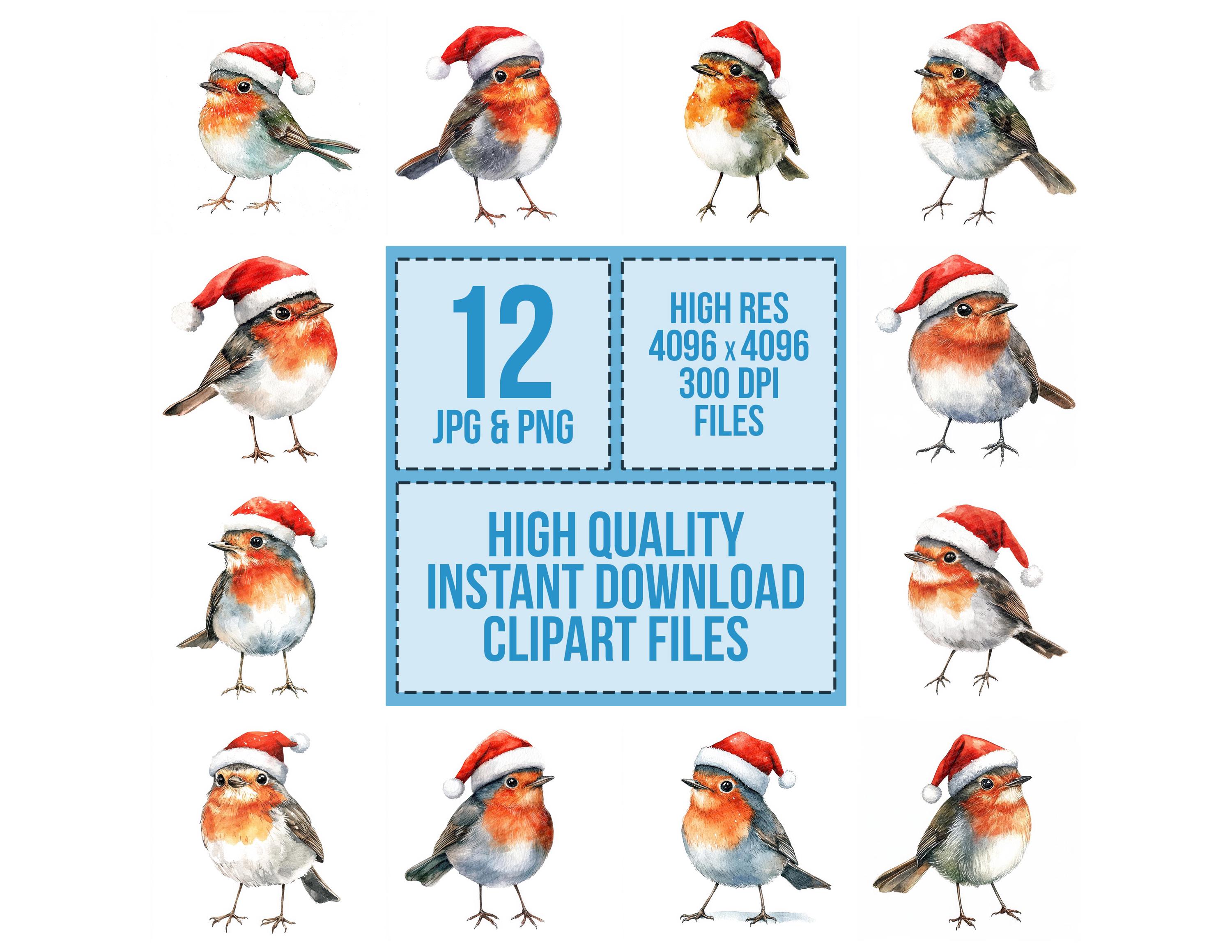 Robin Santa Hat PNG Clip Art, 12x Christmas Bird Watercolor Clipart Set ...