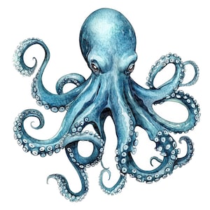 Clipart PNG de pieuvre vintage, 12 x aquarelle créatures marines Clip Art, JPG imprimable vie marine, travaux manuels en papier, téléchargement numérique, journal indésirable