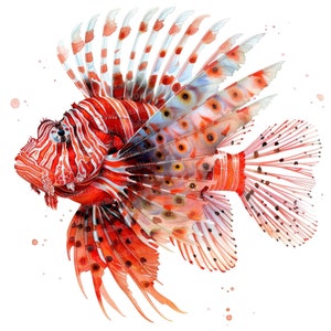 Clipart aquarelle de rascasse volante, 12 fichiers JPG, art poisson exotique, clipart aquarelle imprimable, créations en papier, art mural, téléchargement numérique, journaux indésirables