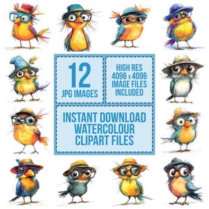 12 imágenes prediseñadas de pájaros con gafas, pájaros de acuarela, imágenes prediseñadas de acuarela imprimibles, manualidades de papel, arte mural, descarga digital, revistas basura